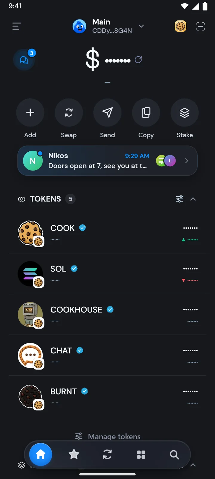 The wallet home with every amount masked